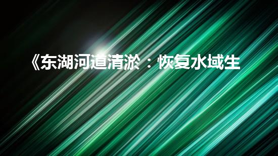 《东湖河道清淤：恢复水域生态，保障城市安全》