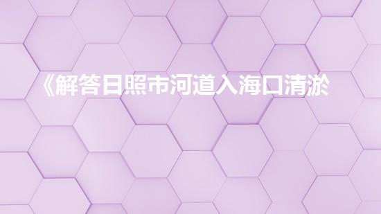 《解答日照市河道入海口清淤的关键问题，助力河口安全发展！》