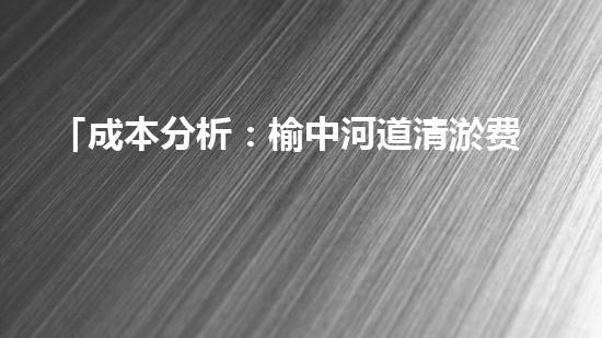 「成本分析：榆中河道清淤费用估算及效益评估」