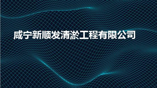 咸宁新顺发清淤工程有限公司