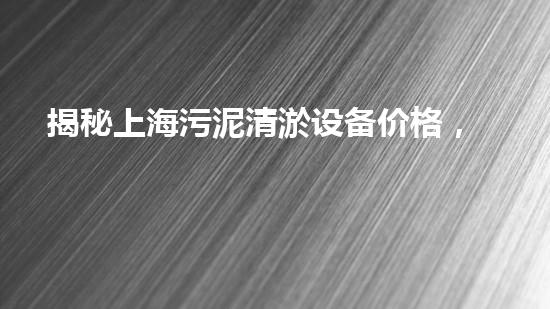 揭秘上海污泥清淤设备价格，惊人的行业内幕曝光！