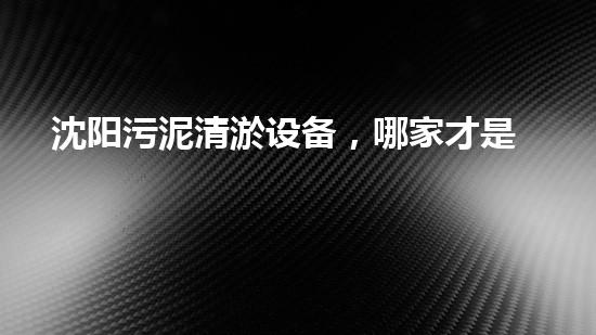 沈阳污泥清淤设备，哪家才是最佳选择？