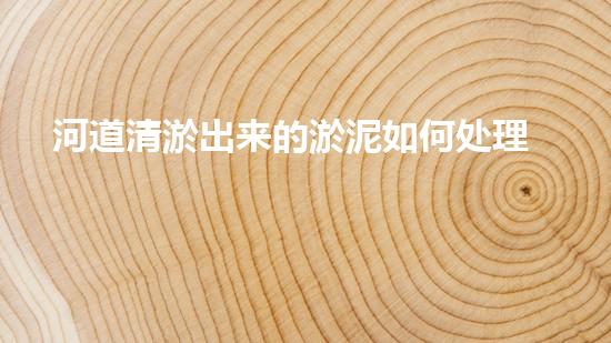 河道清淤出来的淤泥如何处理清淤工程的关键技术与挑战，如何提升施工效率与安全性？