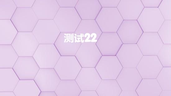 测试22