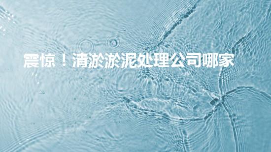 震惊！清淤淤泥处理公司哪家强？在线等，挺急的！