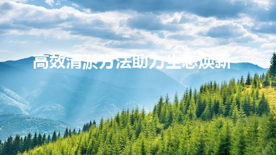 高效清淤方法助力生态焕新